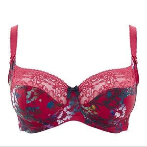 Chi Chi Bra by Sculptrese